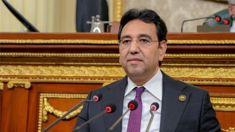 أيمن محسب: وحدة الدول الوطنية حجر الزاوية في تحقيق الأمن والاستقرار
