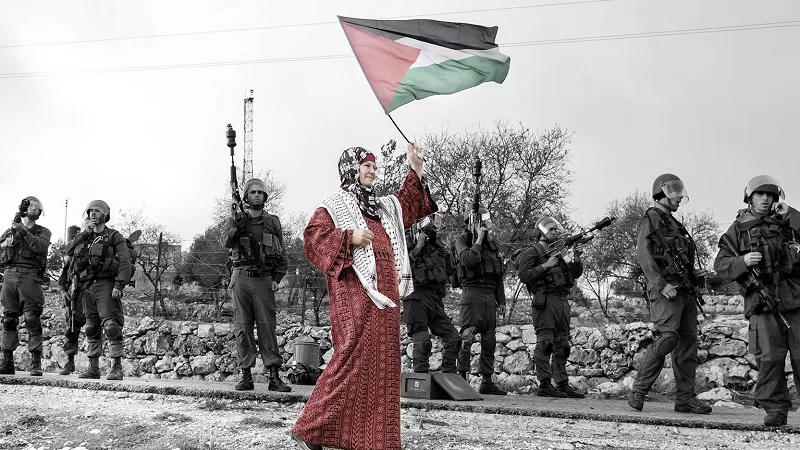 صلاح عبد العاطي: حل الدولتين لن يتحقق إلا بفرض عقوبات على إسرائيل|فيديو