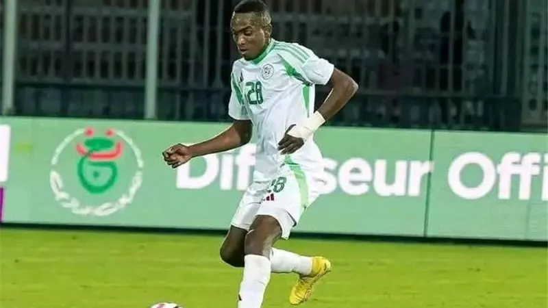 كلام وكلاء.. أول تعليق من الأهلي على التفاوض مع لاعب أولمبيك الشلف