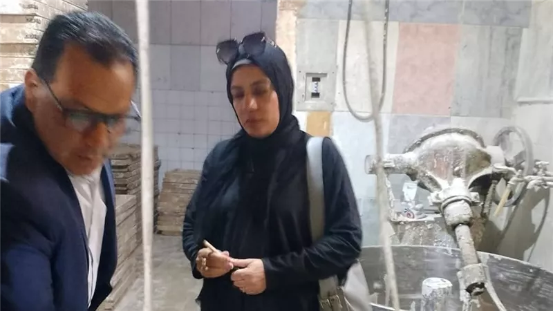 20 شيكارة.. حملات تموينية بمخابز المنوفية تضبط مخالفات الدقيق