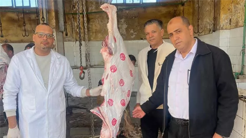 بيطري كفر الشيخ: علاج وتشخيص حمل 3171 حالة خلال شهر نوفمبر 2025