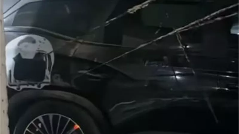 أسرة إسماعيل الليثي المنكوبة.. انهيار سقف على سيارة أرملة الفنان الراحل