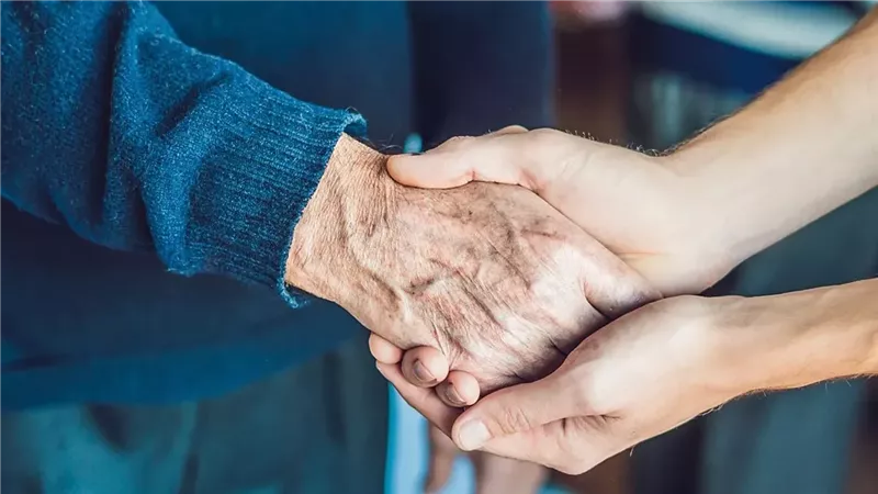 دراسة تكشف المراحل الخمسة لتطور الدماغ.. تفاصيل مدهشة