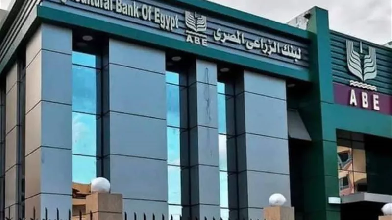 خطوات الحصول على تمويل مشروعات تربية الأغنام من البنك الزراعي