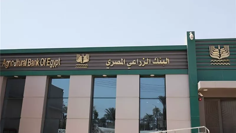 قرض المواشي الحلابة في البنك الزراعي.. شروط التمويل وطريقة التقديم