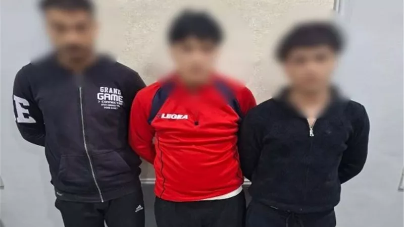 «الداخلية» تكشف ملابسات فيديو مشاجرة بالأسلحة البيضاء في كفر الشيخ