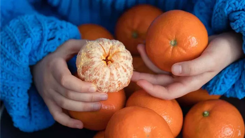 تخلص من الحلويات.. فواكه الشتاء الطازجة تختصر الطريق نحو صحة أفضل