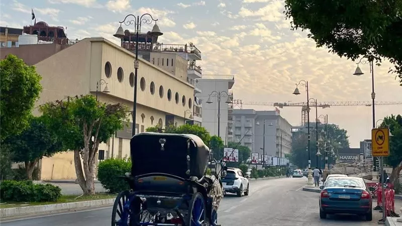 طقس اليوم في الأقصر.. بارد صباحا معتدل الحرارة نهارا