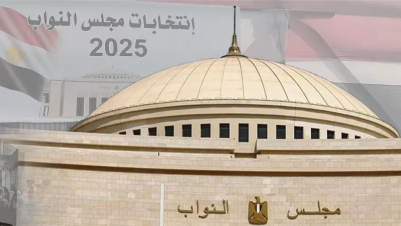 محمود عبد الحميد: مصداقية البرلمان القادم تحقق استقرارا مؤسسيا طويلا|فيديو