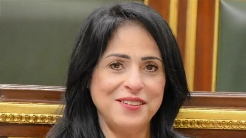 ميرال الهريدي: جماعة الإخوان الإرهابية في حالة إفلاس سياسي