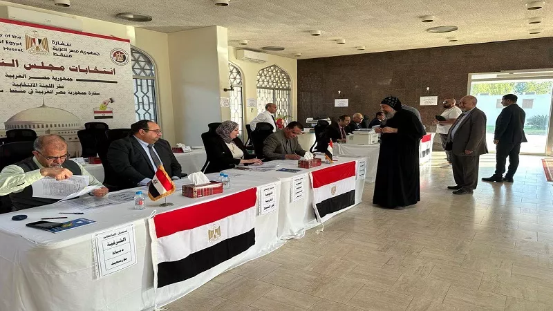 مجلس الشباب المصري يرصد سير الانتخابات في الخارج دون معوقات جوهرية