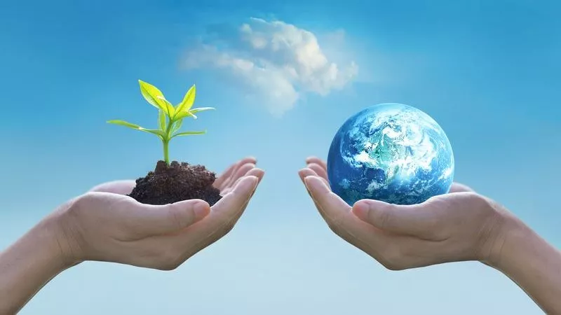 في اليوم العالمي لمنع التلوث.. طرق فعالة لتنظيف المنازل والحدائق