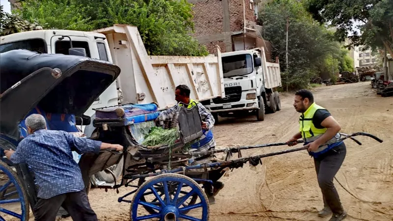 استمرار حملات التحفظ على عربات الحنطور المخالفة في مدينة الأقصر 