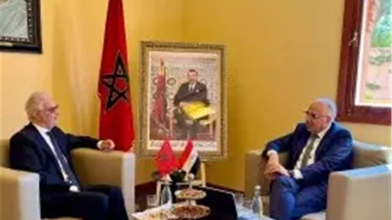 مصر والمغرب يناقشان تحلية الغذاء المتكثف وتمويل مشروع للطاقة المتجددة