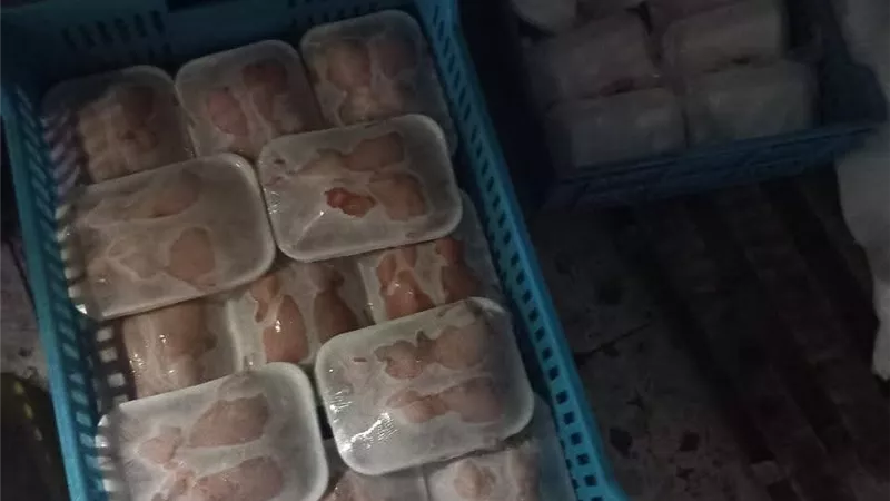 غش غذائي.. ضبط طن و356 كيلو سمان مجمد مجهول المصدر في كفر الشيخ