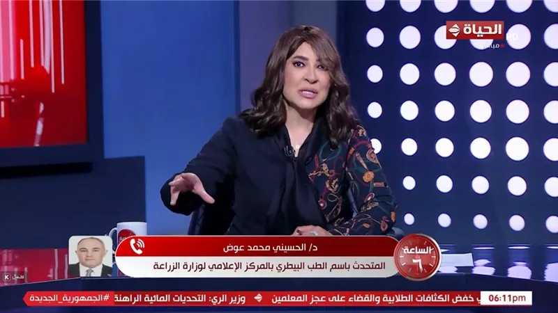 الحكومة تعتمد خطة متكاملة لحماية المواطنين من التعامل مع الكلاب الضالة