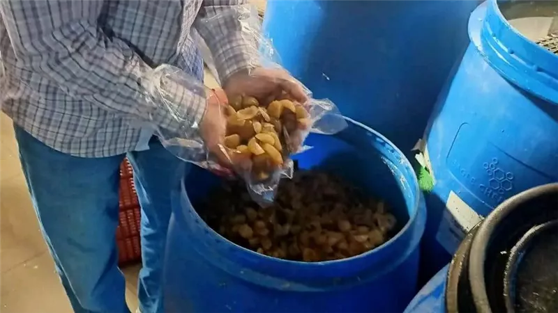 ضبط أكثر من طن أغذية غير صالحة في حملات رقابية بالمطرية وجمصة
