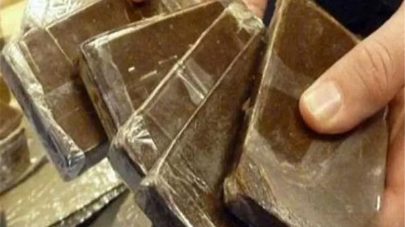 ضبط 64 طربة حشيش داخل محطة مياه الشرب بسمنود في الغربية