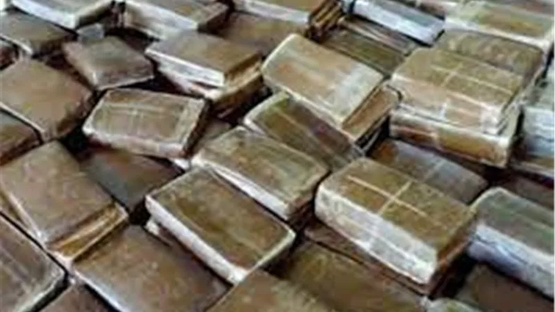 «الداخلية» تضبط 457 كيلو حشيش و93 قطعة سلاح في 24 ساعة