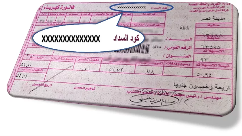 خطوات الاستعلام عن فاتورة الكهرباء لشهر ديسمبر.. من المنزل| تفاصيل