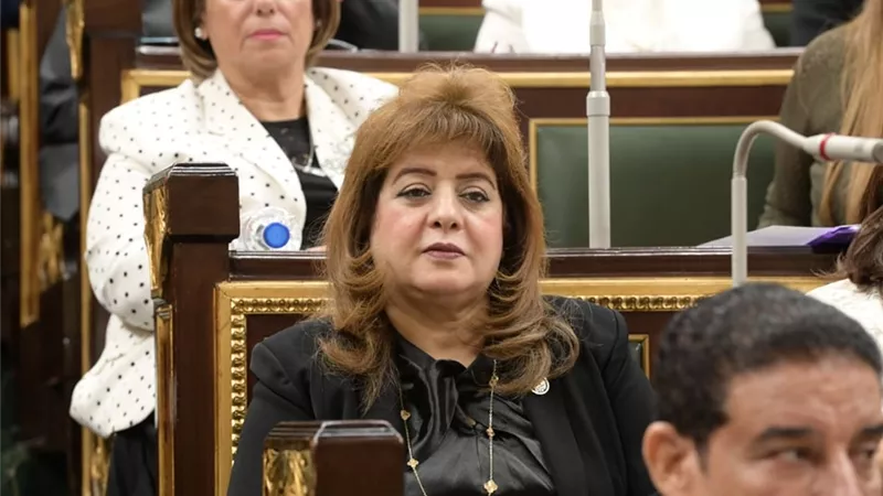 عضو بـ«خارجية النواب»: إيديكس 2025 شهادة دولية على قوة مصر