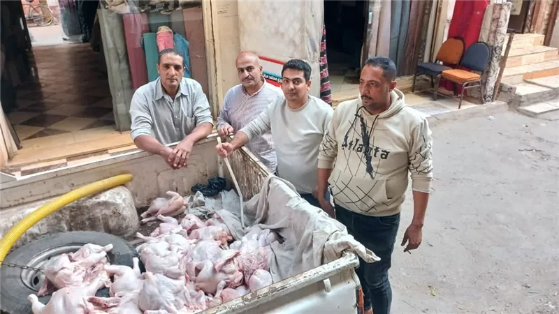 حملة تفتيشية تضبط 150 كجم دواجن غير صالحة للاستهلاك ببيطري المنوفية