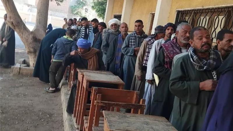 إعادة 7 دوائر.. توافد الناخبين على لجان انتخابات النواب في سوهاج| فيديو
