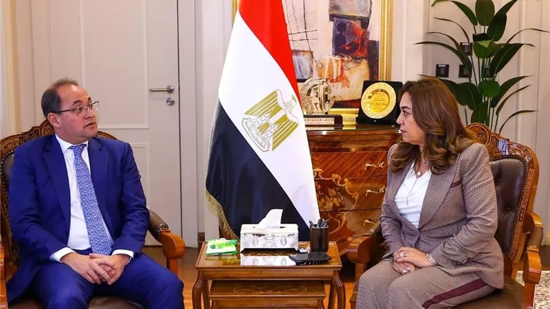 «المالية» و«التنمية المحلية» تضعان آليات جديدة لدعم المشروعات البيئية