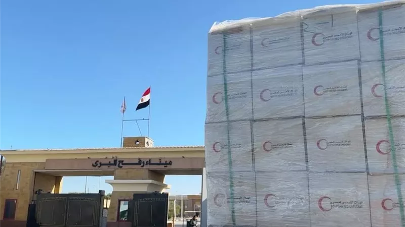 الهلال الأحمر المصري يدفع بأكثر من 236 ألف سلة غذائية لإغاثة غزة