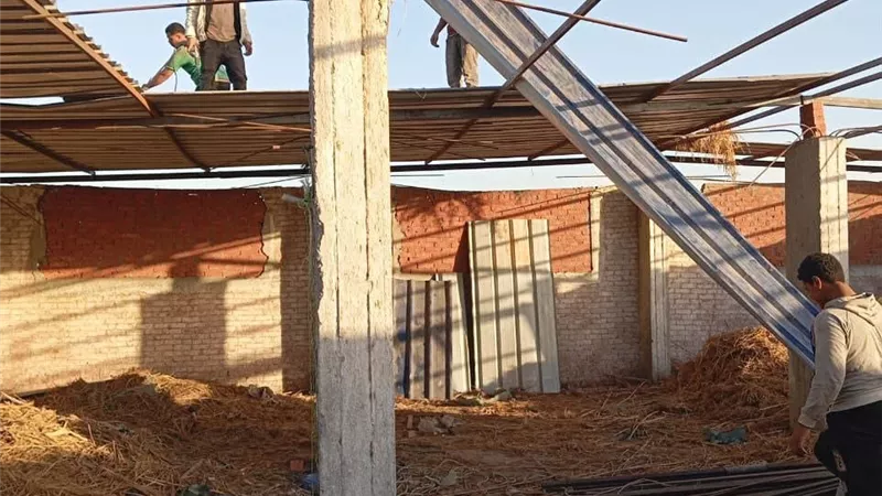 الأجهزة التنفيذية بالشرقية تزيل التعديات على الأراضي الزراعية| صور