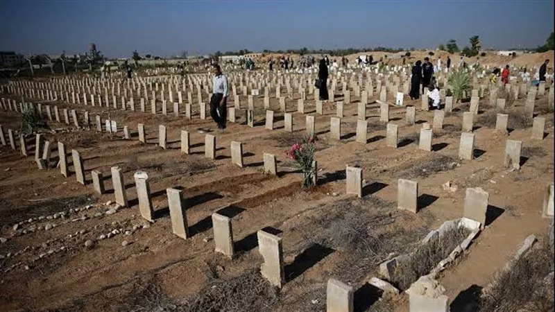 هل سألتقي بأمي في البرزخ؟.. أمين الفتوى يحسم الجدل