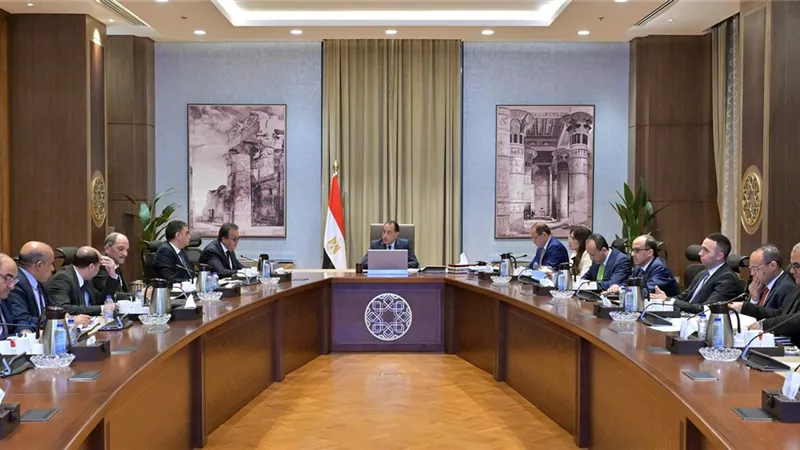 رئيس الوزراء يتابع جهود توافر الأدوية وموقف سداد مستحقات الشركات