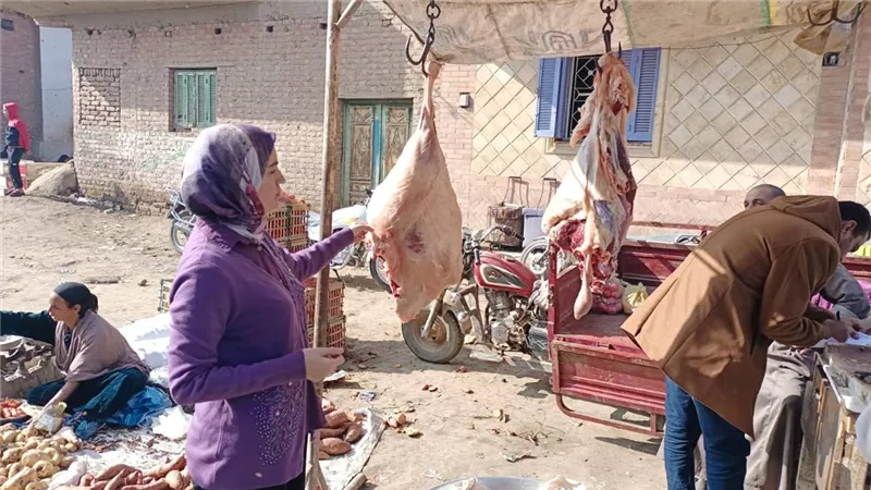 الطب البيطري ببني سويف يضرب بقوة لضمان سلامة الغذاء