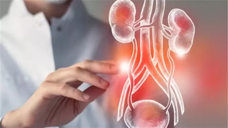 المتحدث العسكري يعلن وجود خبير بجراحة المسالك البولية بالمجمع الطبي|تفاصيل