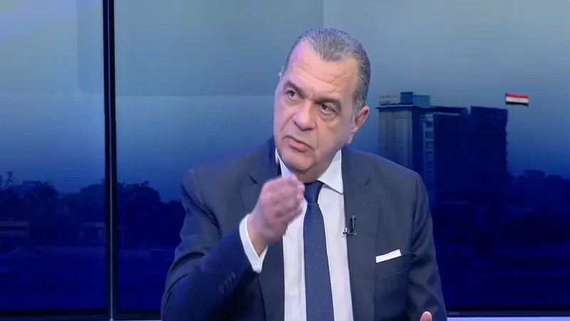 نائب وزير المالية: الممول الملتزم ضريبيًا يدخل 