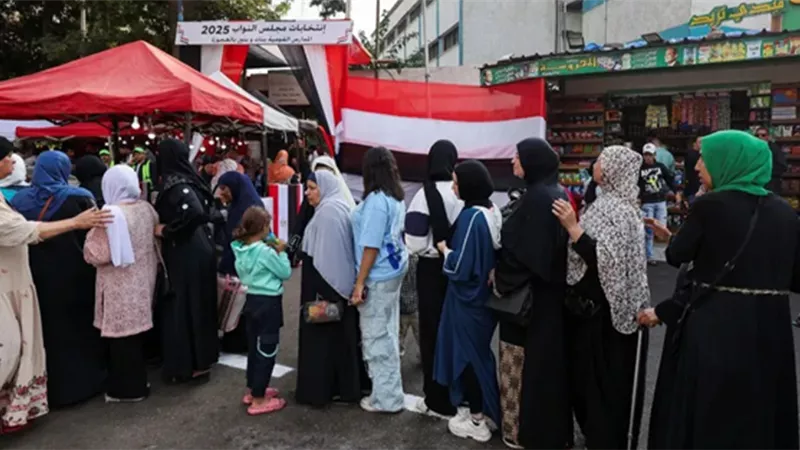 لجنة متابعة أسيوط: لم ترد أي شكاوى من المرشحين أو الناخبين |فيديو