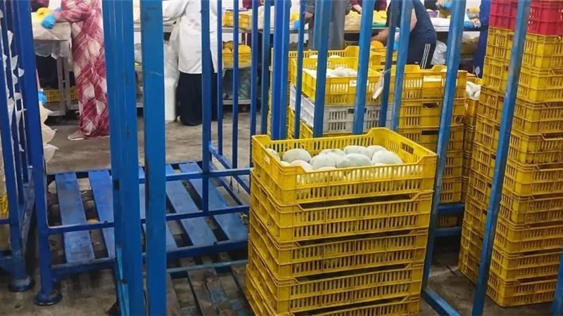 شئون البيئة بالشرقية يشن حملات تفتيشية على المنشآت الغذائية والصناعية |صور