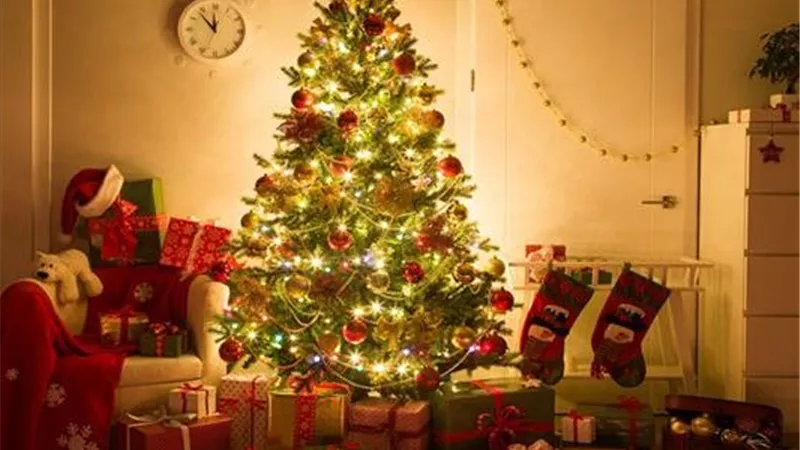 عيد الميلاد المجيد.. طقوس روحية واحتفالات تزين بداية العام الجديد