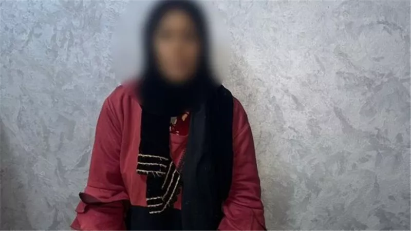 القبض على متهمة بجمع البطاقات الشخصية لصالح مرشح لمجلس النواب بقنا