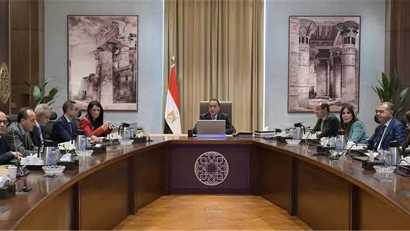 استراتيجية الاستثمار الأجنبي  على طاولة مجلس الوزراء | تفاصيل 