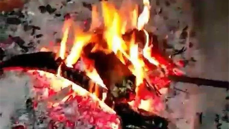 دار الإفتاء : «البِشْعَة» ممارسة محرَّمة شرعًا ومُنافية لمقاصد الشريعة 