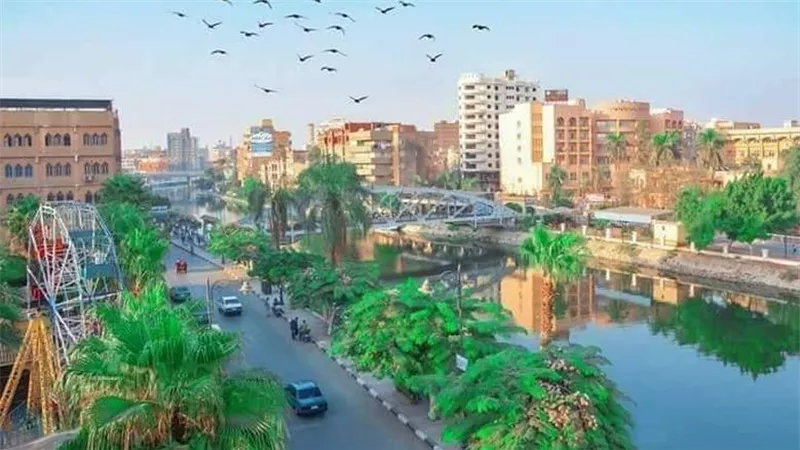 إنجاز دولي.. «شبين الكوم» تنضم لشبكة اليونسكو لمدن التعلم العالمية