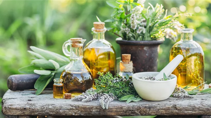 أعشاب وزيوت عطرية لعلاج الصداع النصفي.. أبرزها زيت النعناع