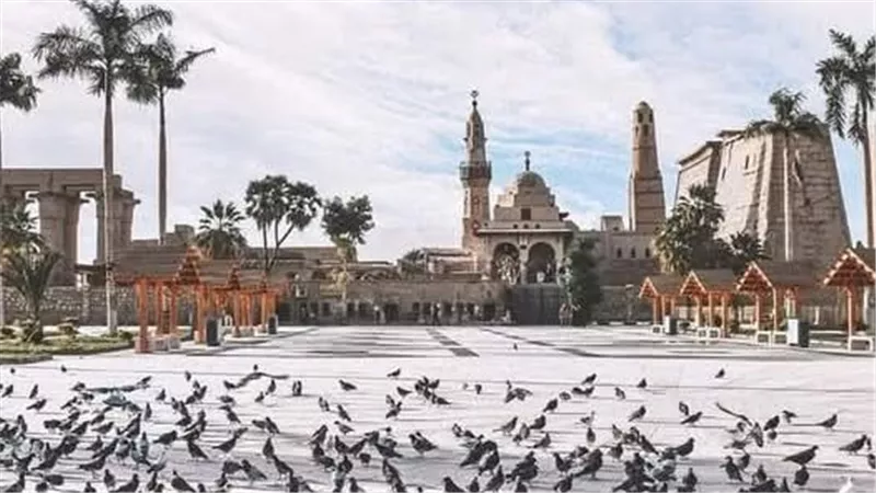 طقس الأقصر.. بارد صباحا وانخفاض الرطوبة مساء