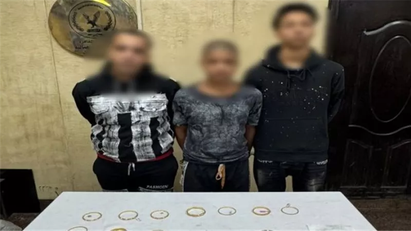 من مصر الجديدة للبساتين.. ضبط تشكيلات عصابية للسرقة بالقاهرة