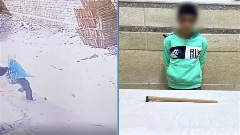 ضبط المتهم بضرب فتاة بالشارع في الشرقية