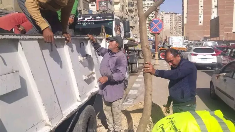 محافظ الدقهلية يعلن استمرار المرحلة الرابعة من مبادرة «100 مليون شجرة»
