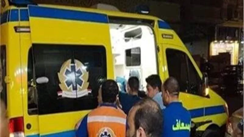 شاب يفقد حياته خلال مشاجرة في المحلة الكبرى 