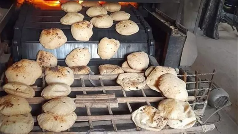 ضبط 70 مخالفة تموينية في ِحملات مكثفة على 7 مراكز في القليوبية 