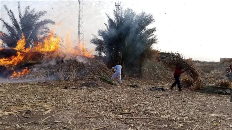 السيطرة على حريق هائل في بوص الذرة بالصلعا غرب سوهاج|صور